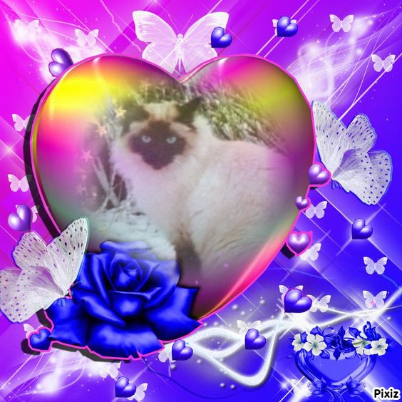 Rangoon uploaded   98  day/s  ago