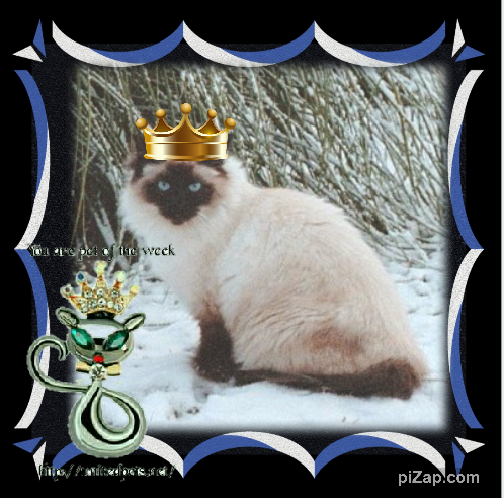 Rangoon uploaded   95  day/s  ago