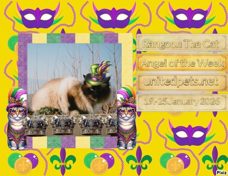 Rangoon uploaded   99  day/s  ago