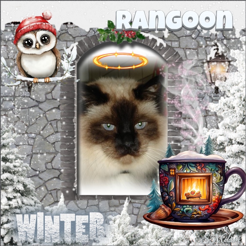 Rangoon uploaded   95  day/s  ago