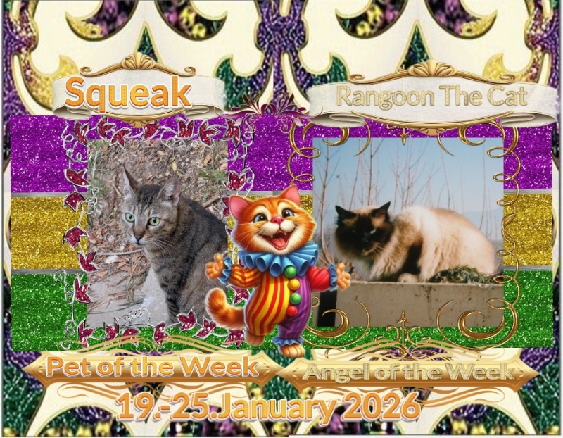 Rangoon uploaded   99  day/s  ago