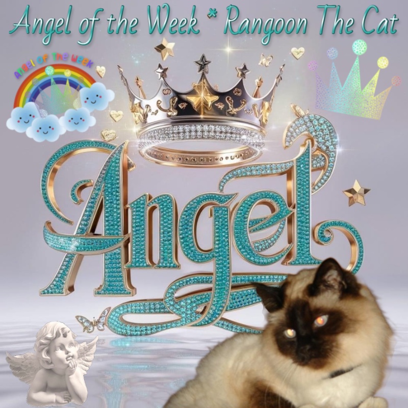 Rangoon uploaded   99  day/s  ago