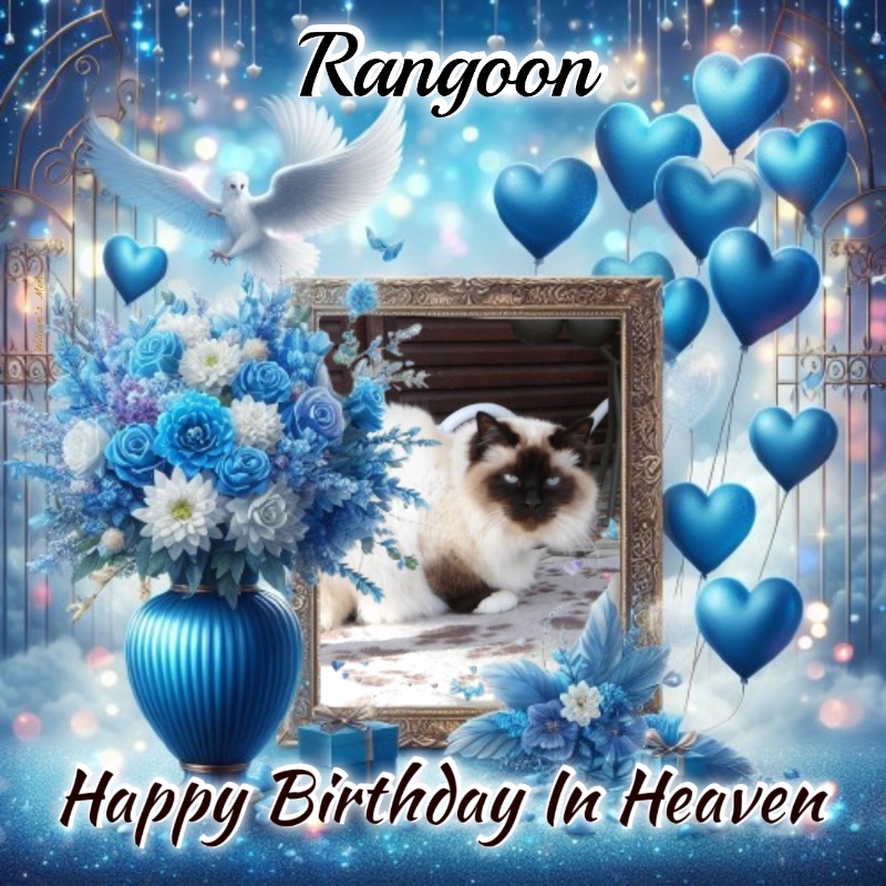 Rangoon uploaded   2 year/s ago