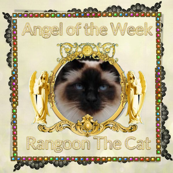 Rangoon uploaded   99  day/s  ago