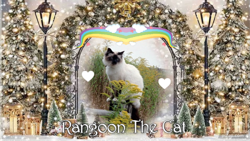 Rangoon uploaded   1 year/s ago