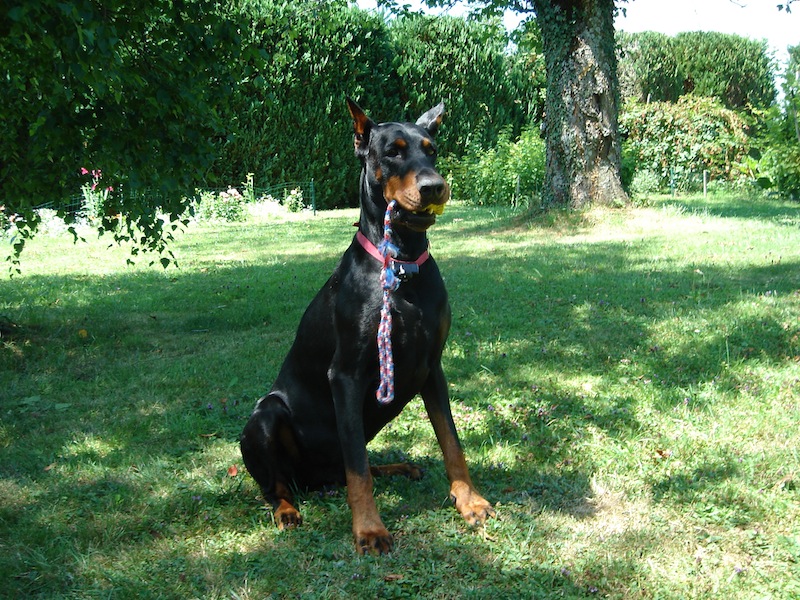 Rangoon uploaded   11 year/s ago