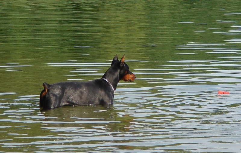 Rangoon uploaded   8 year/s ago