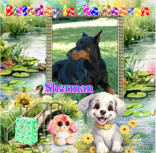 Sherman of the Rangoon family