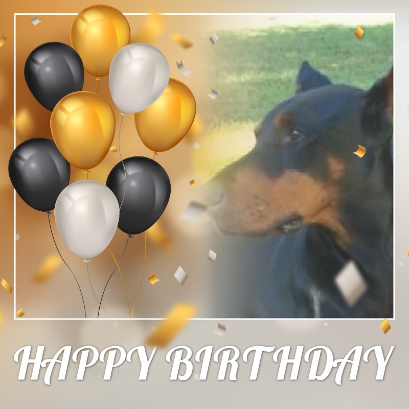 Sherman of the Rangoon family