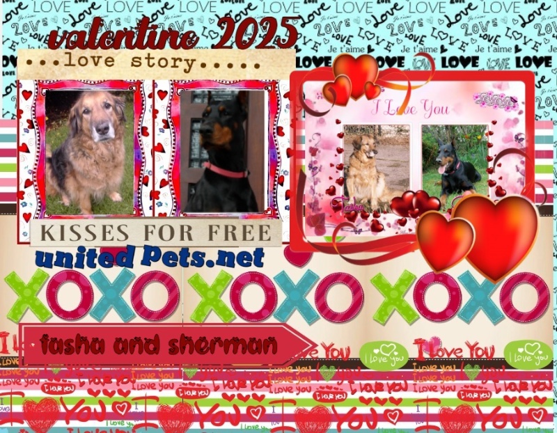 Sherman of the Rangoon family