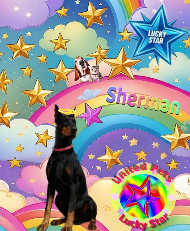 Sherman of the Rangoon family