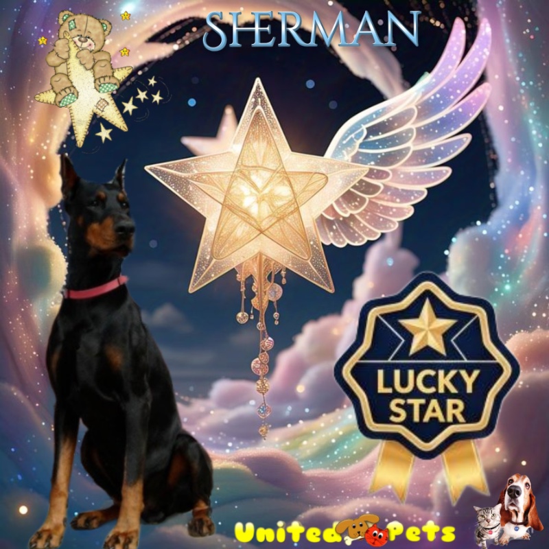 Sherman of the Rangoon family