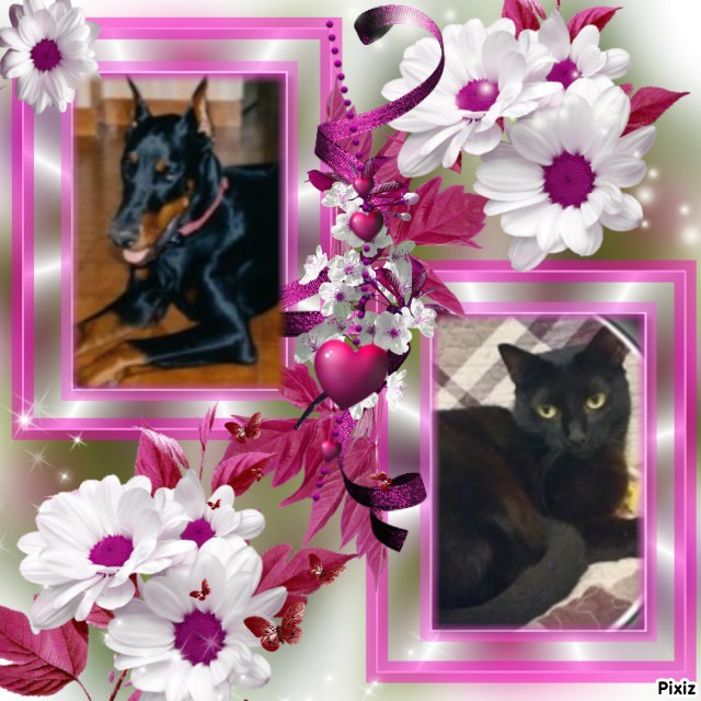 Sherman of the Rangoon family