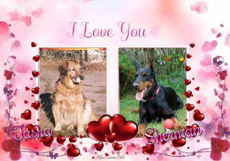 Sherman of the Rangoon family