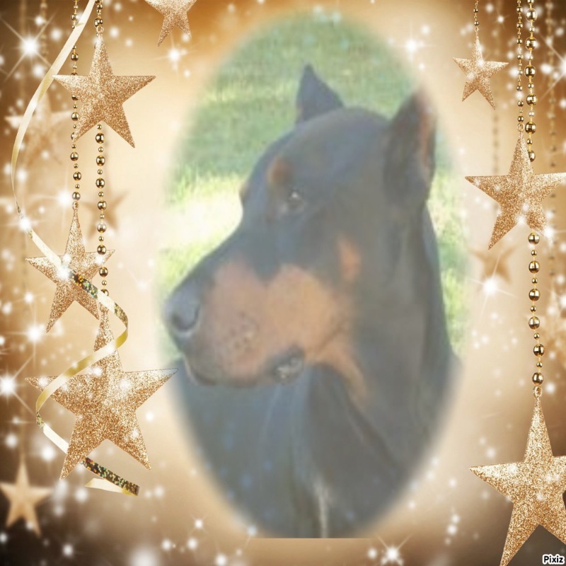 Sherman of the Rangoon family