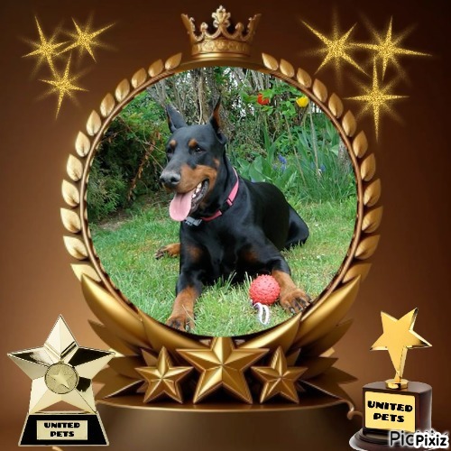 Sherman of the Rangoon family