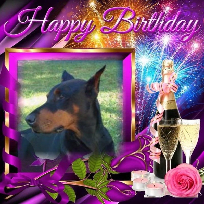 Sherman of the Rangoon family