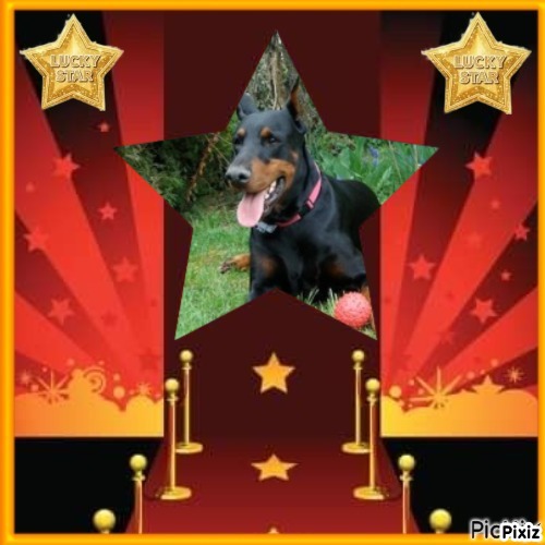 Sherman of the Rangoon family