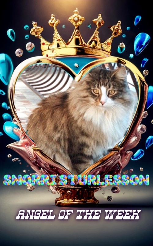 Snorri Sturlesson of the Rangoon family