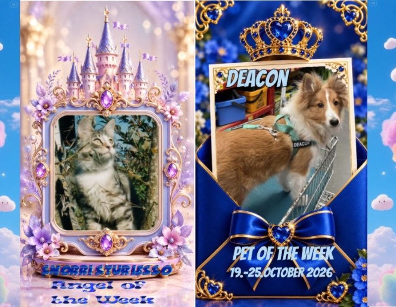 Snorri Sturlesson of the Rangoon family