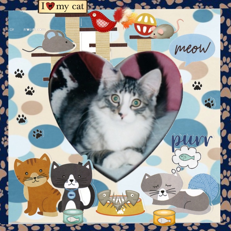 Snorri Sturlesson of the Rangoon family