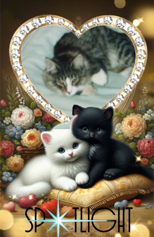 Snorri Sturlesson of the Rangoon family