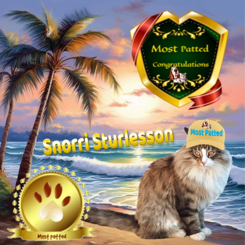 Snorri Sturlesson of the Rangoon family