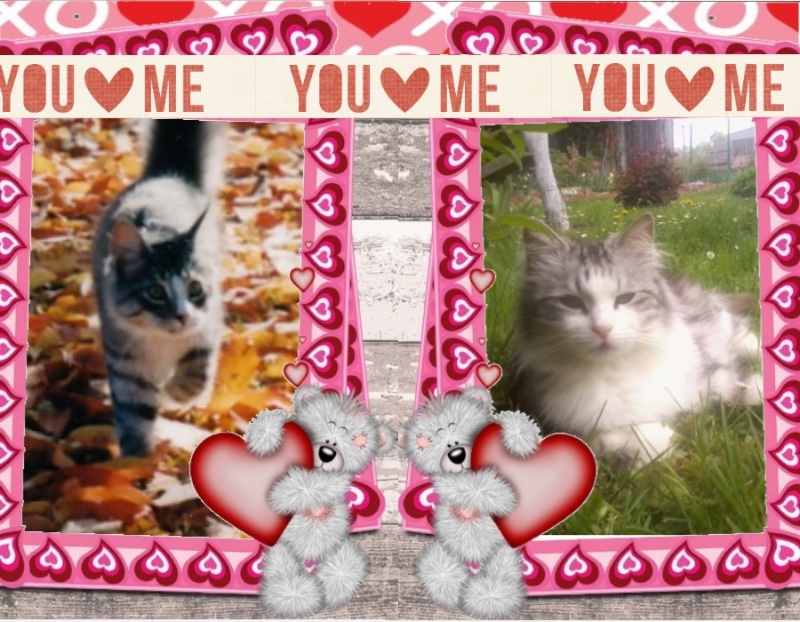 Snorri Sturlesson of the Rangoon family