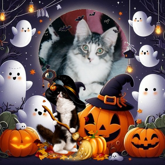 Snorri Sturlesson of the Rangoon family