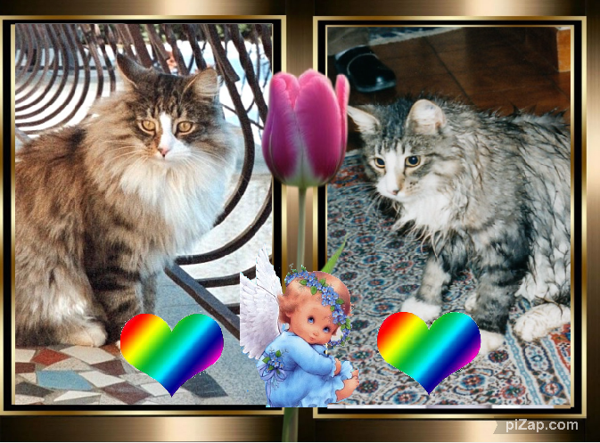 Snorri Sturlesson of the Rangoon family