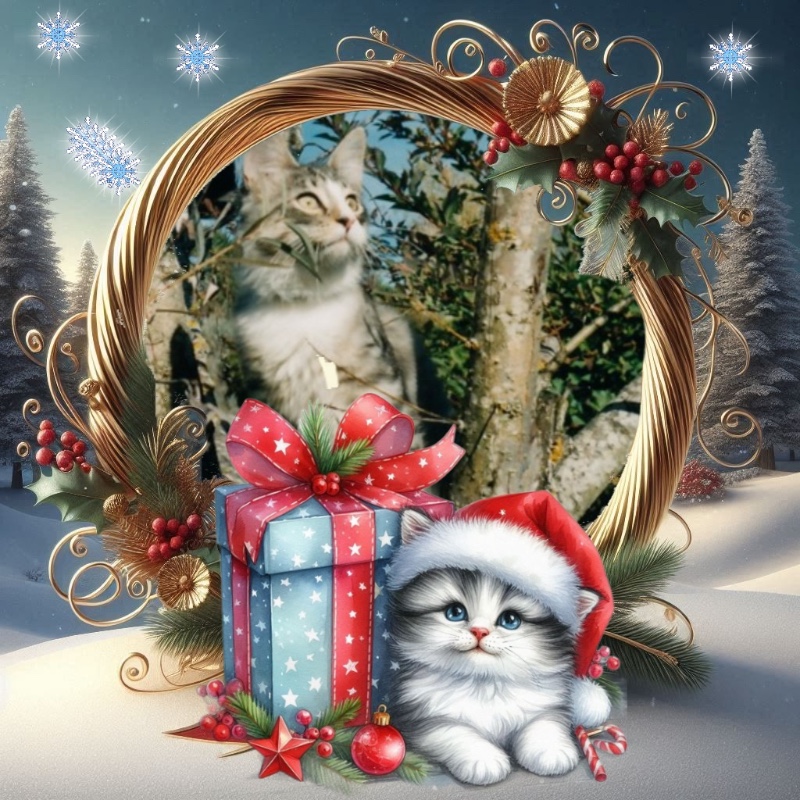 Snorri Sturlesson of the Rangoon family