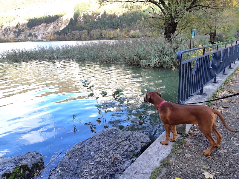 Rangoon uploaded   2 year/s ago