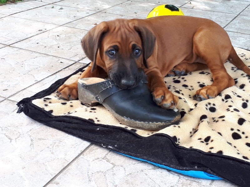 Rangoon uploaded   2 year/s ago