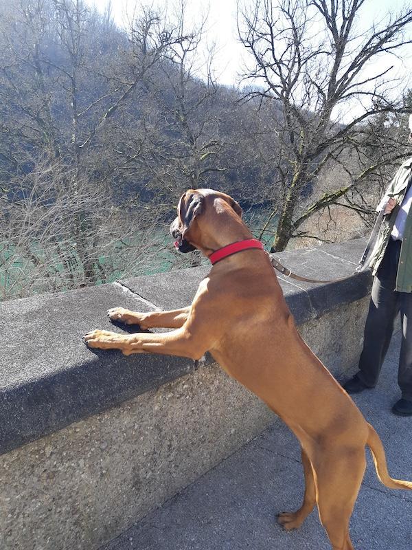 Rangoon uploaded   1 year/s ago