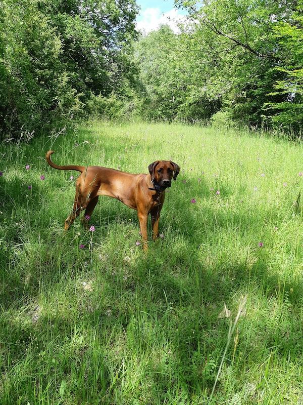 Rangoon uploaded   1 year/s ago