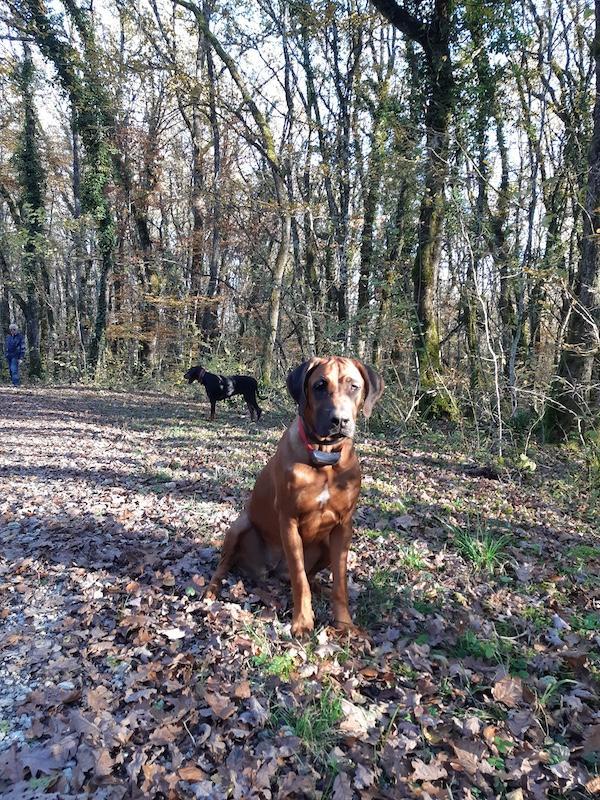 Rangoon uploaded   1 year/s ago