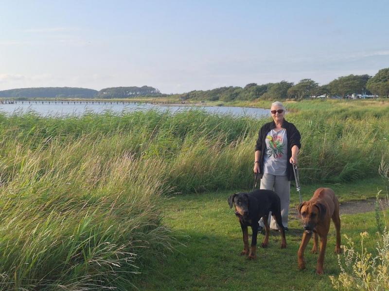 Rangoon uploaded   1 year/s ago