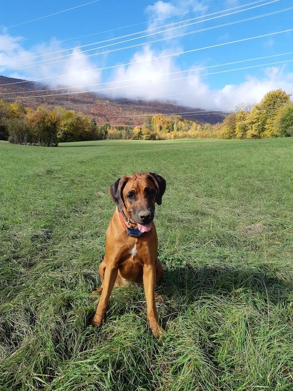 Rangoon uploaded   159  day/s  ago