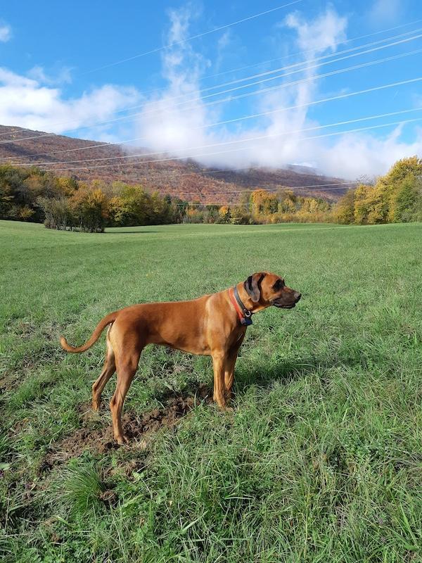 Rangoon uploaded   159  day/s  ago