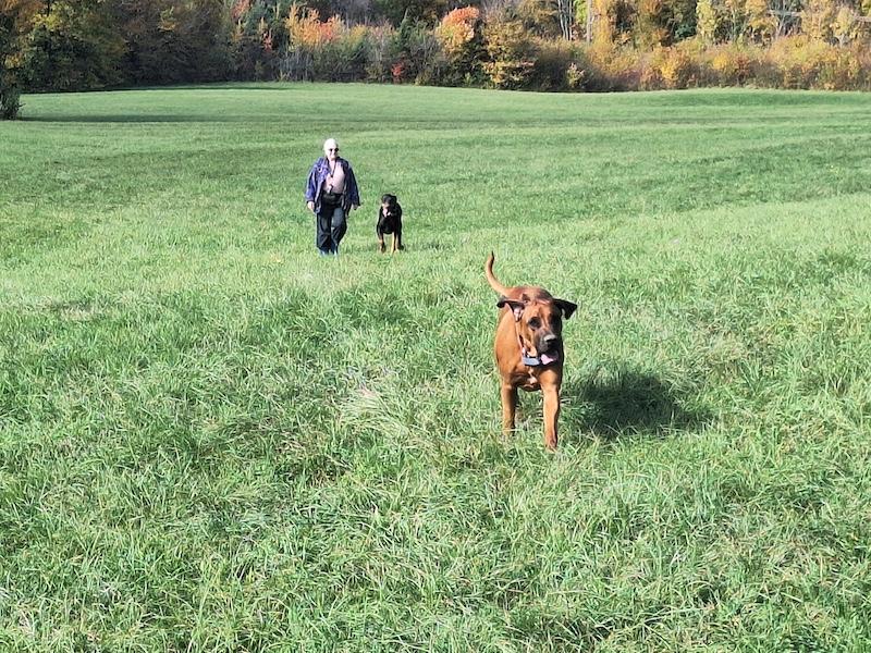 Rangoon uploaded   159  day/s  ago