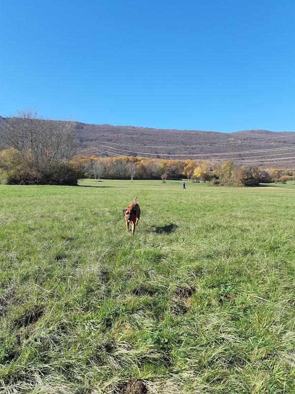 Rangoon uploaded   154  day/s  ago