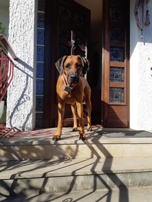 Rangoon uploaded   154  day/s  ago