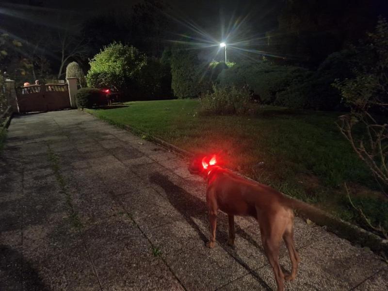 Rangoon uploaded   146  day/s  ago