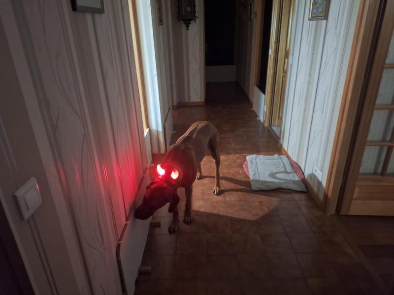 Rangoon uploaded   146  day/s  ago