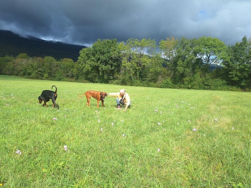 Rangoon uploaded   168  day/s  ago