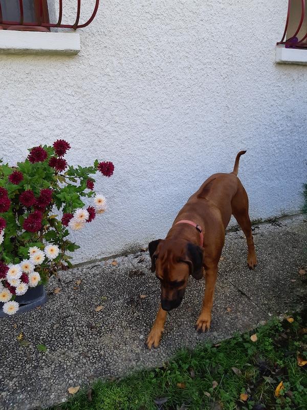 Rangoon uploaded   140  day/s  ago