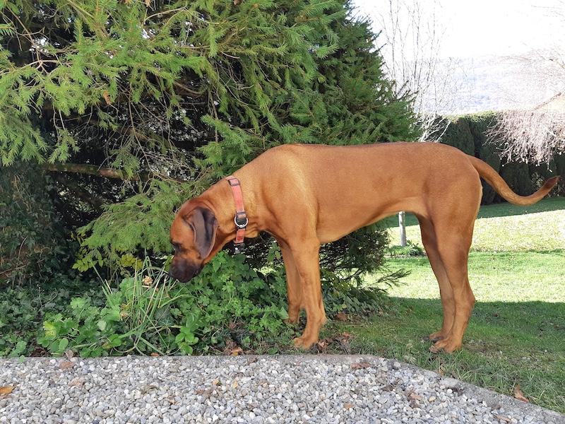 Rangoon uploaded   140  day/s  ago