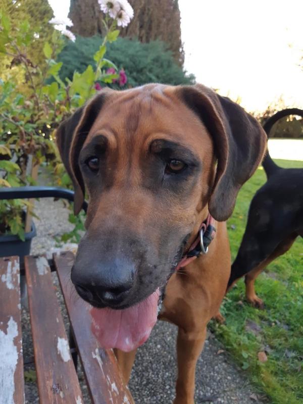 Rangoon uploaded   140  day/s  ago