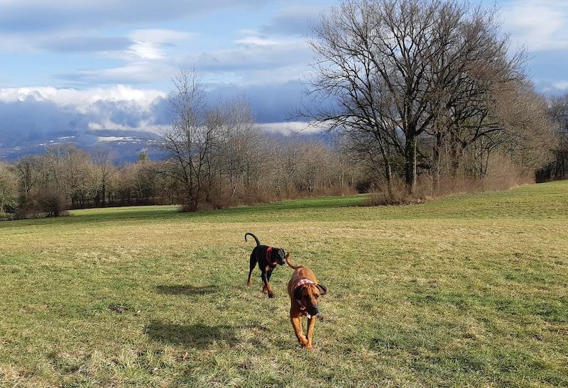 Rangoon uploaded   1 year/s ago