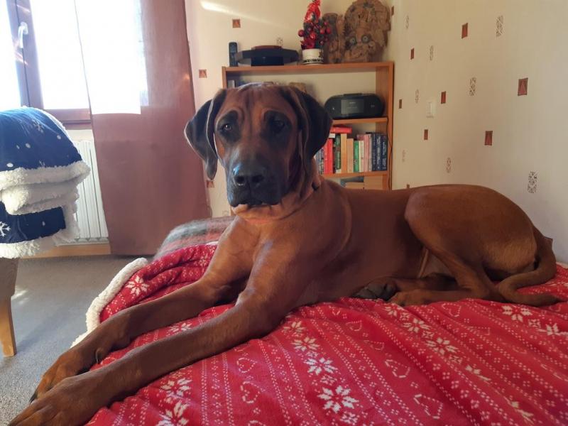 Rangoon uploaded   1 year/s ago